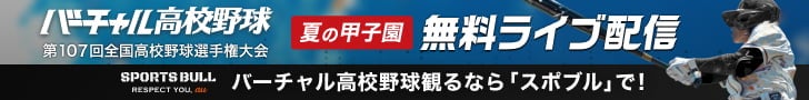 バーチャル高校野球