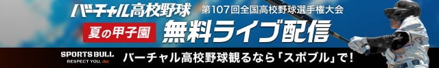 バーチャル高校野球