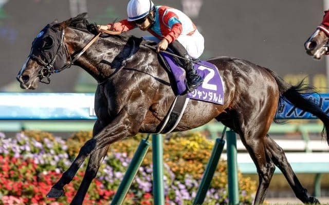 ビリーヴ」の検索結果 | スポーツブル