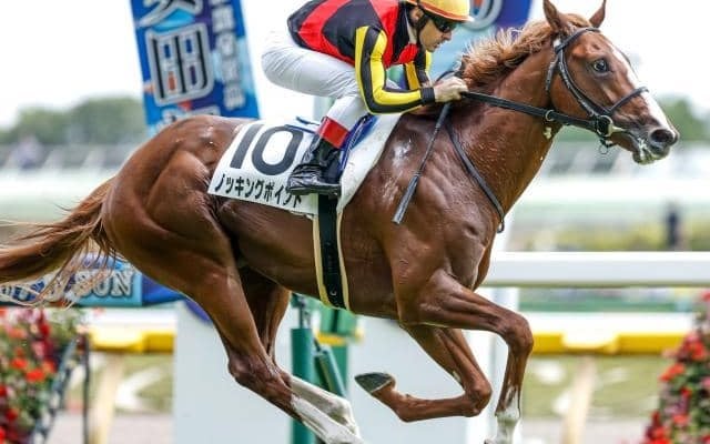 競馬ファン」の検索結果 | スポーツブル