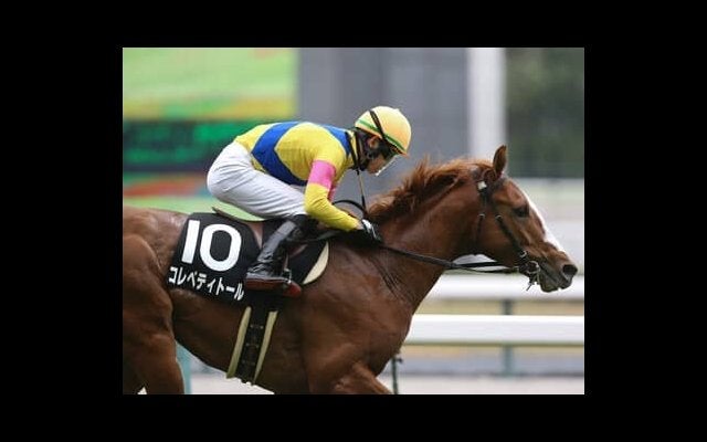 ダノンキングリー」の検索結果 | スポーツブル