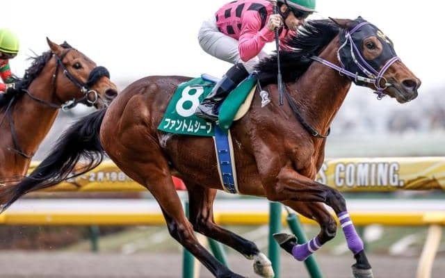 ダノンキングリー」の検索結果 | スポーツブル