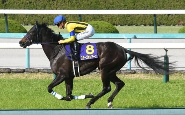 ダノンキングリー」の検索結果 | スポーツブル