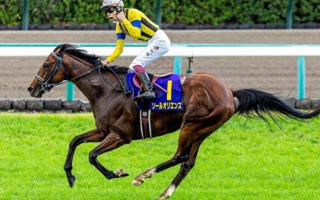 ダノンキングリー」の検索結果 | スポーツブル