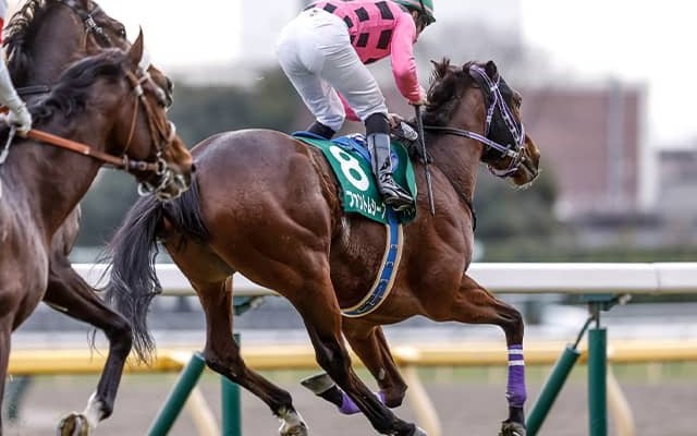 ダービージョッキー」の検索結果 | スポーツブル