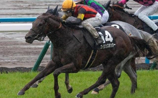 ダノンキングリー」の検索結果 | スポーツブル