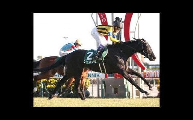 ダノンキングリー」の検索結果 | スポーツブル