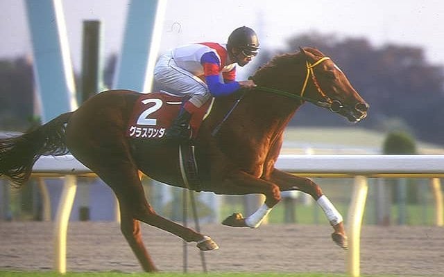 メジロマックイーン」の検索結果 | スポーツブル