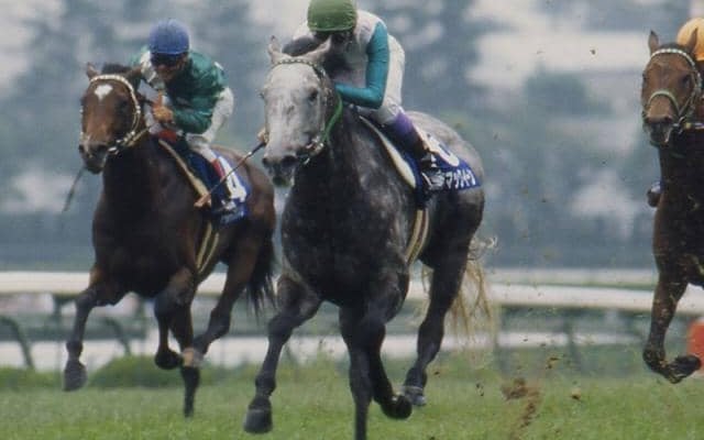 メジロマックイーン」の検索結果 | スポーツブル