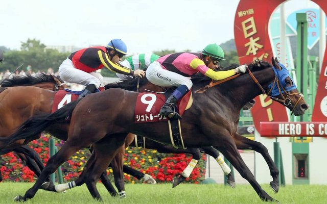 キングカメハメハ産駒」の検索結果 | スポーツブル