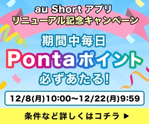 12/8~auShort(300x250)