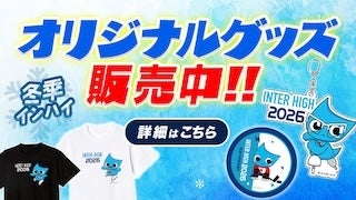 インハイグッズ