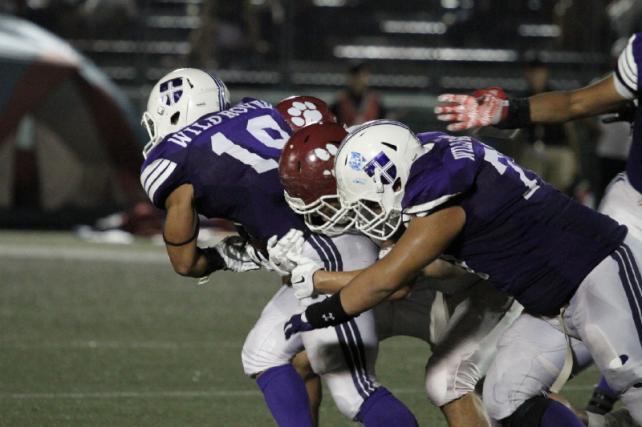 photo by 山岡丈士