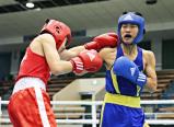 ボクシングライトフライ級決勝 武相の藤田時輝(左)を破って優勝した作新学院の堀川龍 ©読売新聞社