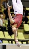 体操男子団体総合で準優勝した市船橋・田嶋将太選手の鉄棒の演技