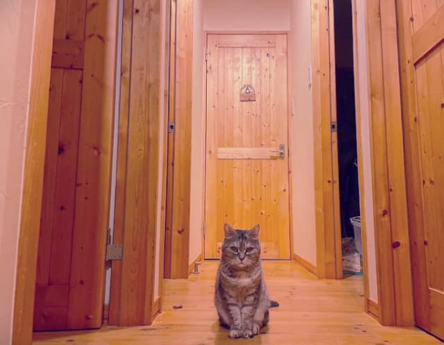 吉田夕梨花が新年の意気込みを明かす「大切なものをこれでもかっていうくらい全力で守り、大切にしたい」