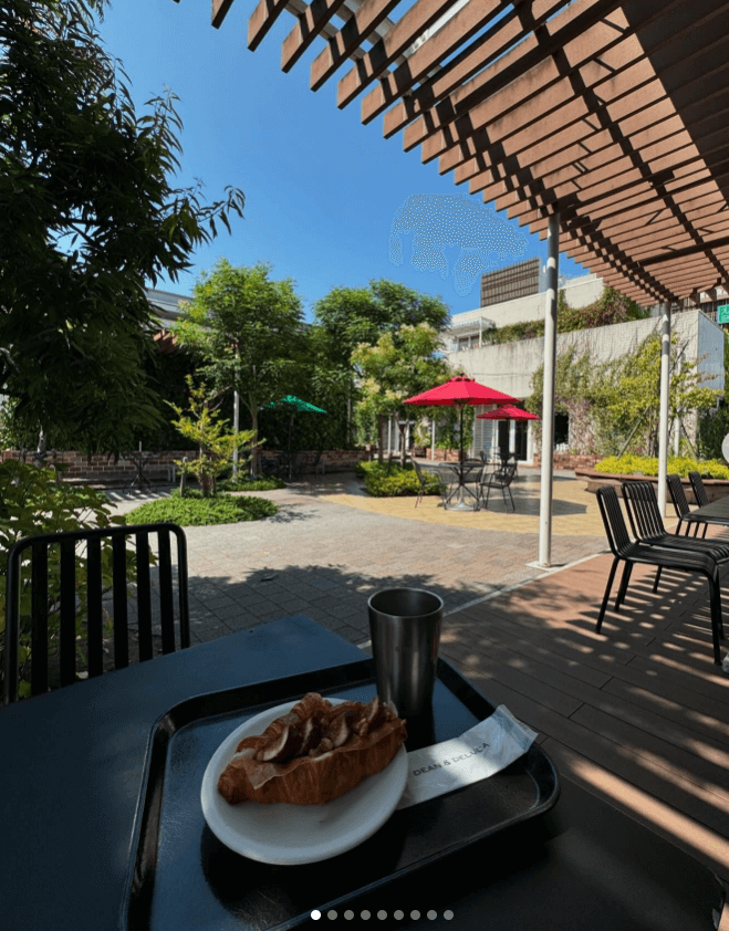 石田ひかり、非常時に備えた新幹線移動の工夫をシェア！ファンから共感の声