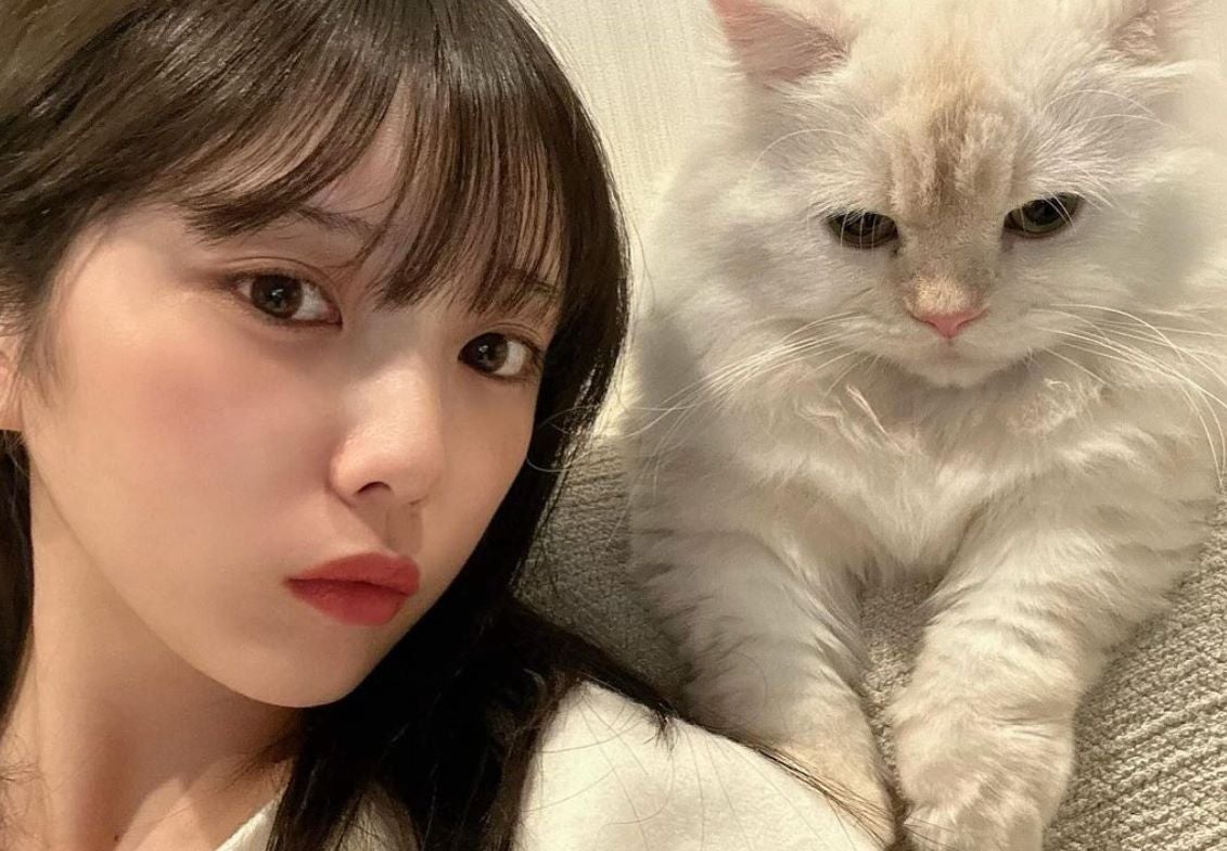 与田祐希と愛猫の2Sが可愛すぎると話題に😽