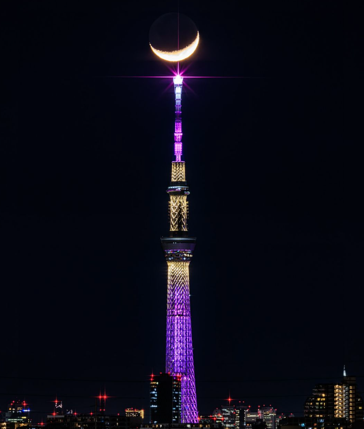 湘南乃風のSHOCK EYE 夜桜の写真を投稿「幻想的ですね🌸」「んなにも綺麗に🤩😍咲いてるんですね」