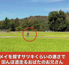 おばたのお兄さん、田んぼ道を爆走！「おばたなりのトトロ」にファン大爆笑