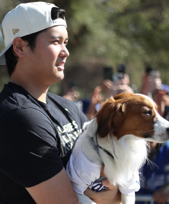MLB公式が大谷翔平と愛犬デコピンの写真を投稿！ファンも祝福コメントで大盛り上がり！！