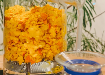 井浦新、自家製エッセンシャルオイルを蒸留！「奥が深くておもしろい