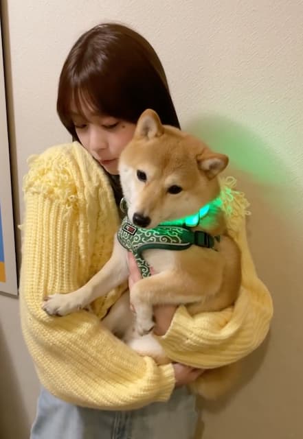 田﨑さくら、「可愛くてついスリスリしちゃう」愛犬との動画を公開！