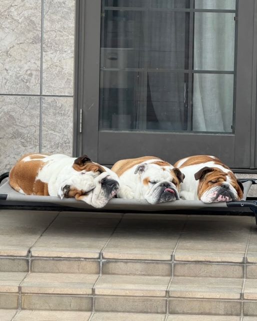 北斗晶、全力の愛情ケア。仕事前のひとときに見せた母ちゃんの優しさと梅田鈴の無言の信頼