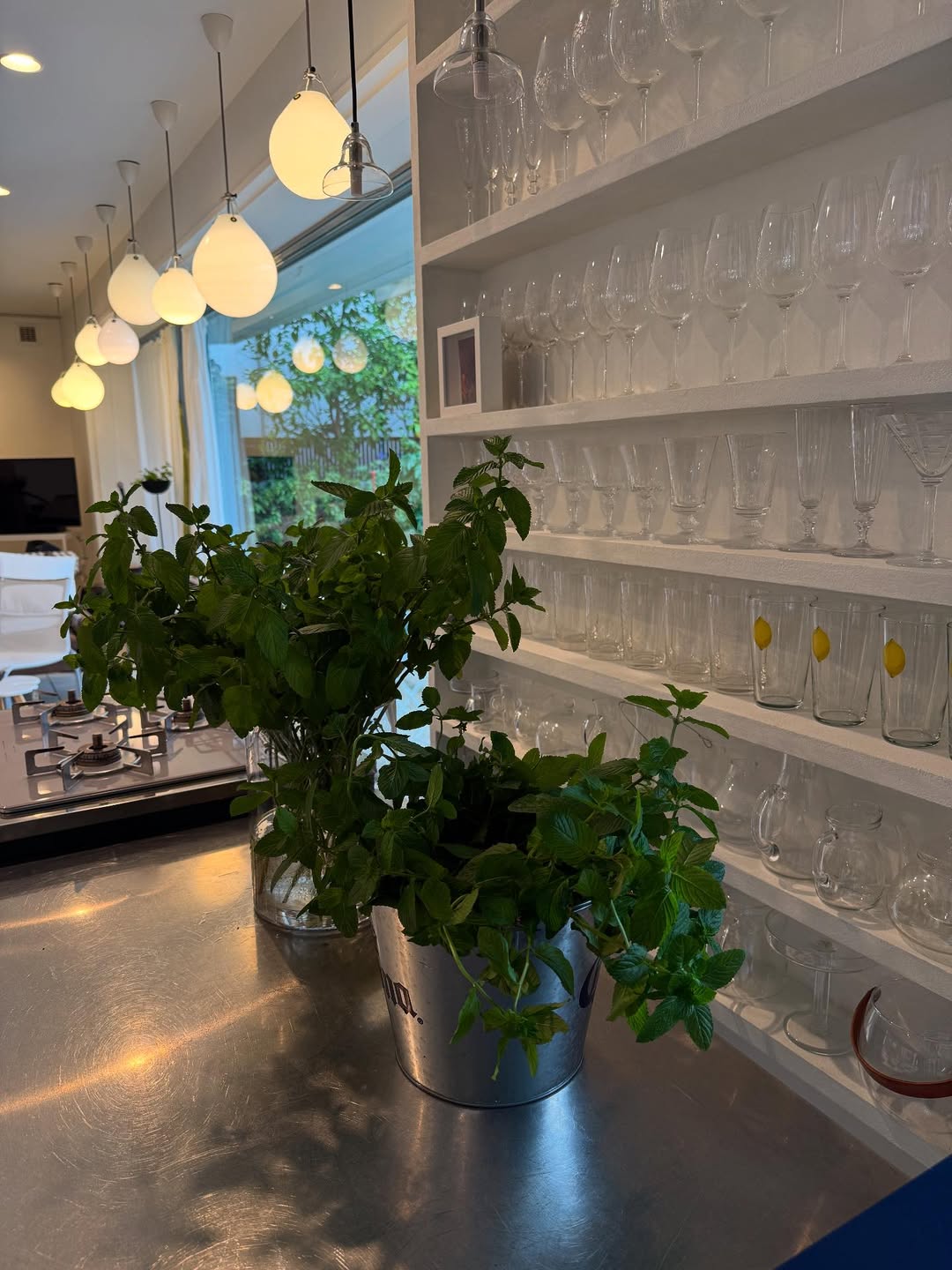 栗原はるみ、室内に飾ったミントが涼しげと話題に「爽やかなグリーンに癒される」