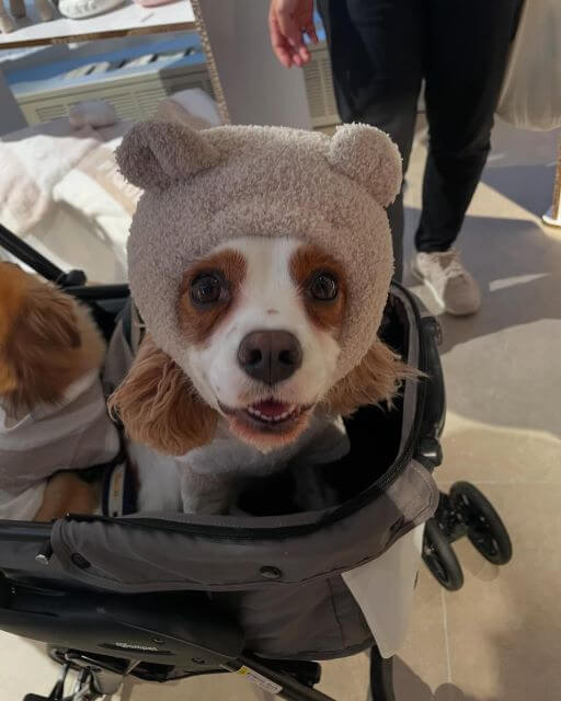 ViVi様、6歳の誕生日！村上佳菜子さんの“分身”が可愛すぎる！