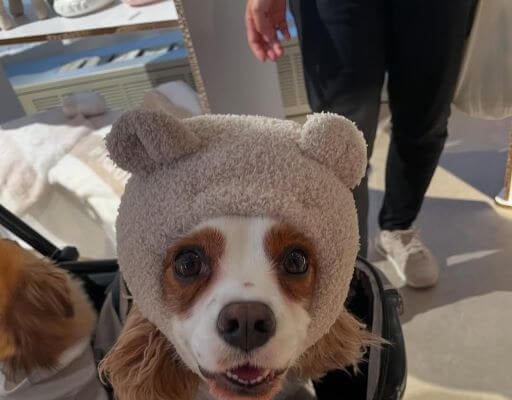 ViVi様、6歳の誕生日！村上佳菜子さんの“分身”が可愛すぎる！