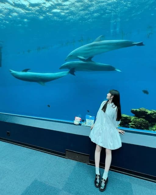 「何もかもがメルヘン」道重さゆみ、約1年越しに八景島シーパラダイスでの思い出投稿でファン歓喜！