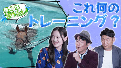 調教を知れば競馬がもっと面白くなる！？サラブレッドの一生を徹底解説！