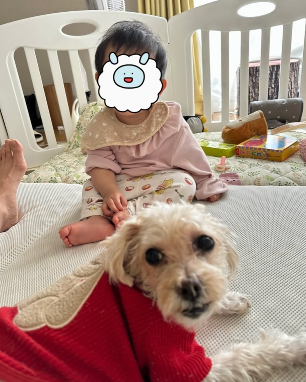 丸山桂里奈が長女1歳誕生日へのお祝いコメントに感激、子育てに対する思いなども吐露