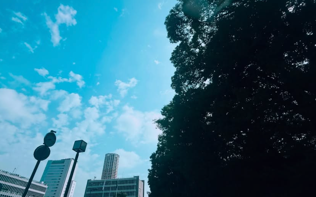 爽やかな願いを込めて…シンガーソングライター森恵、青空と共に祈るようなメッセージ