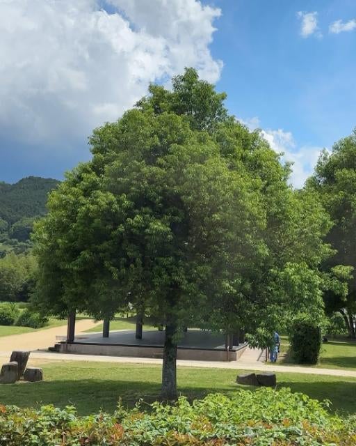 檀れい、晴れやかな景色と甘味で心満たされる「一気に私を幸せにしてくれます」