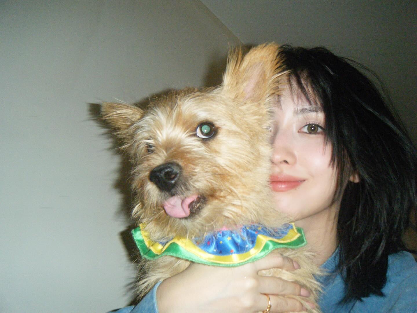 年末には紅白出場✨ TWICE・モモが愛犬との溺愛2S披露💕