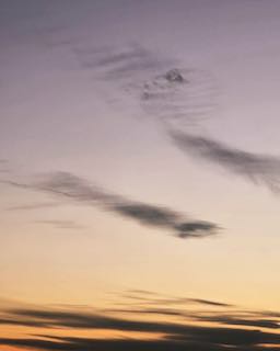 土屋太鳳、突然の訃報に想いを吐露… ドラマで親子役も「あまりにも突然すぎて。」