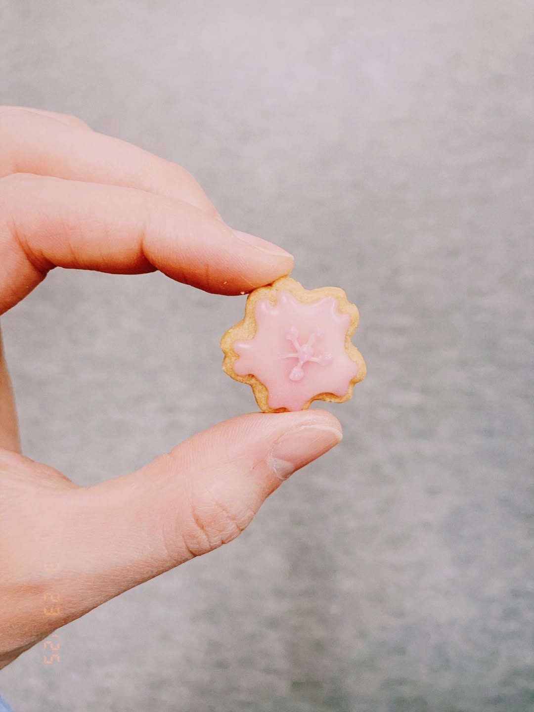 吉岡里帆、“一口だけ”の誘惑ショットに「癒される」とファン続出