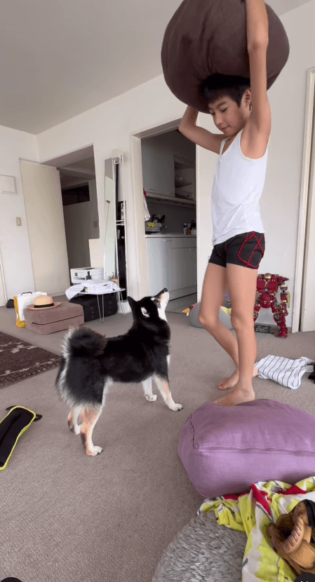 寺島しのぶ、『おでかけ問答』の投稿で家族の温かい一面を披露！息子とペットの和やかな様子にファンもほっこり