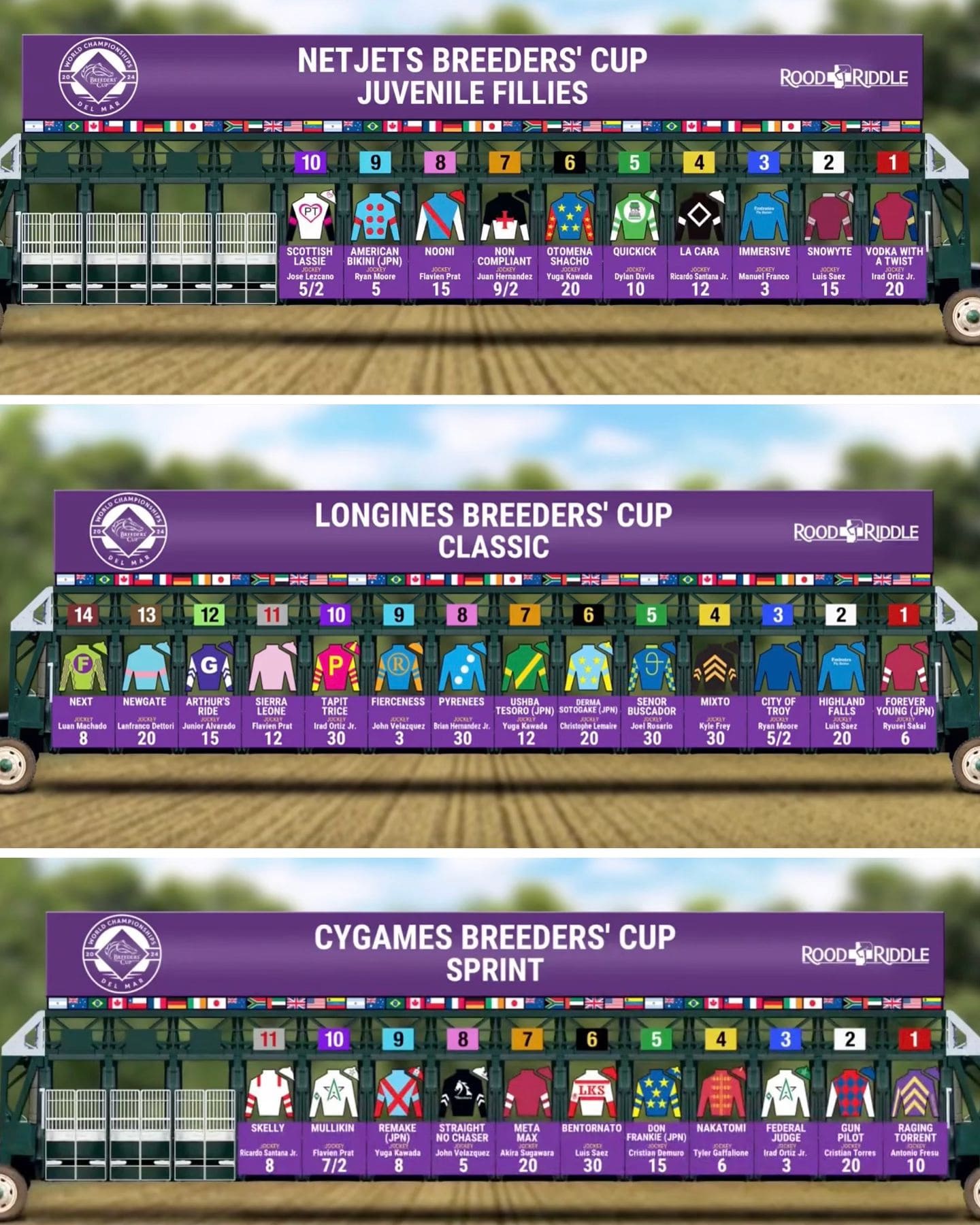 川田将雅がブリーダーズカップ騎乗予定のサラブレット馬を報告！