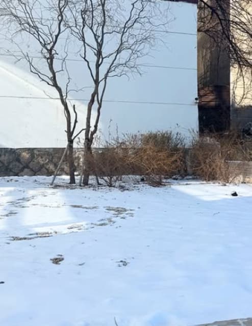 モデル・江野沢愛美 雪景色に感動！？雪のカーペットが美しい！