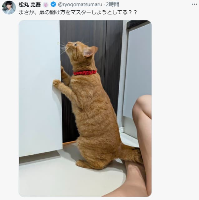 松丸亮吾宅で賢すぎるリド君が「扉開け」に挑戦！？まさかのマスターにで飼い主困惑か！