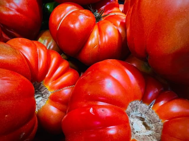 インスタ更新のシシドカフカ「むっちむちの◯◯」公開されたのは？