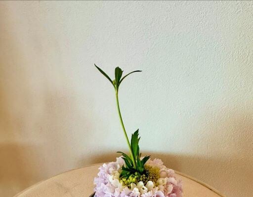 ただ、そこに在る美しさ。夏木マリが切り取る一瞬