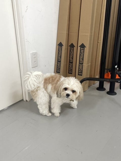 それは熊やない…！あの人気男性声優の投稿に思わずツッコミたくなる！？