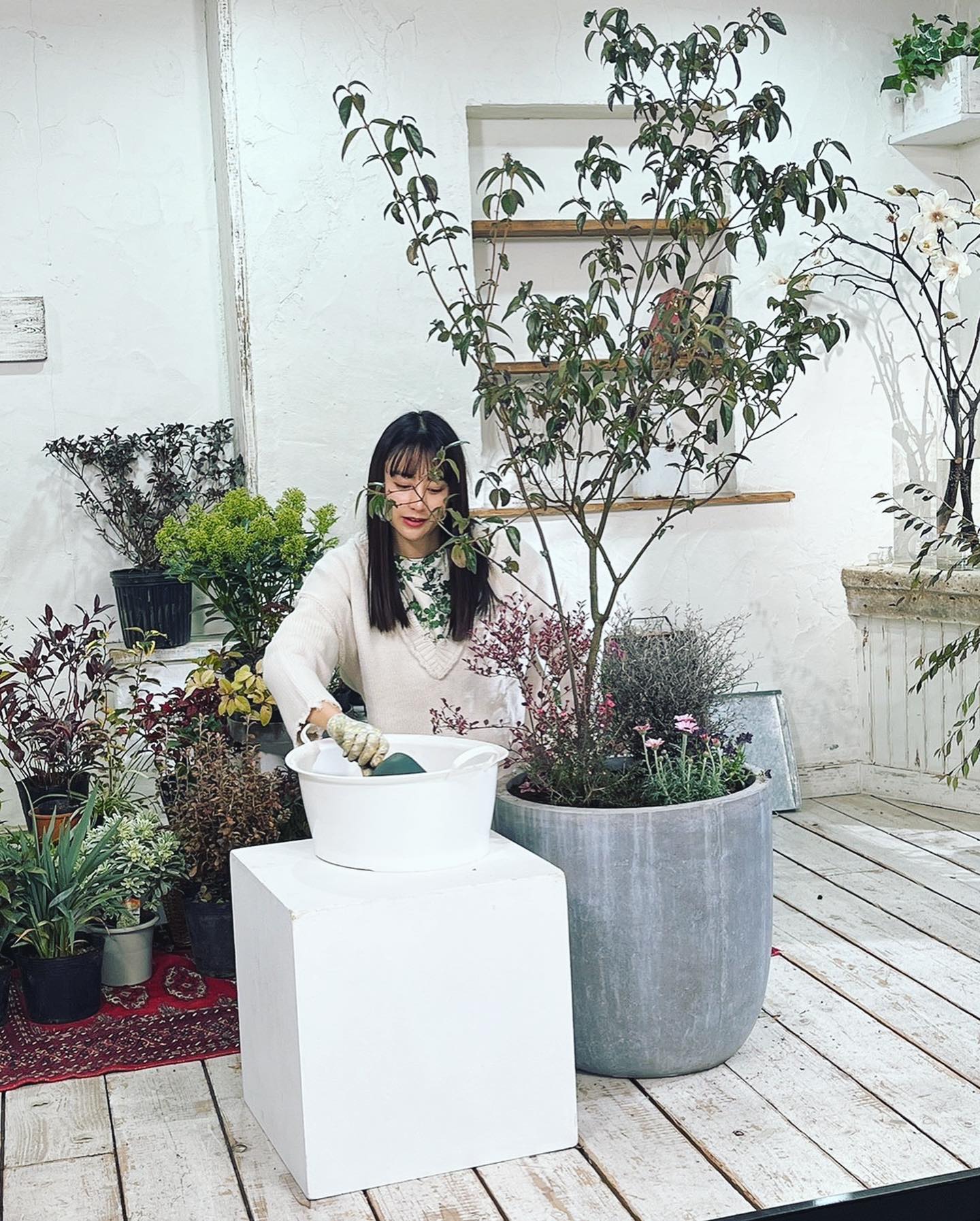 第一子妊娠の山本美月 ゆったり白ニットで番組出演報告🤍