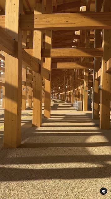 糸井嘉男が大阪万博開催を前に幻想的な木の柱のそばでキャッチボールする光景の動画を投稿