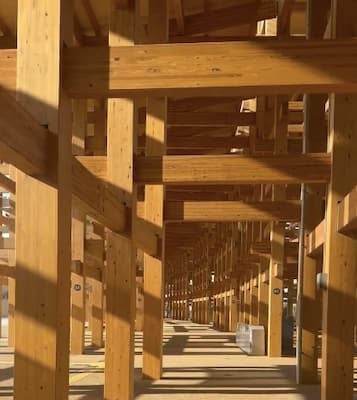 糸井嘉男が大阪万博開催を前に幻想的な木の柱のそばでキャッチボールする光景の動画を投稿