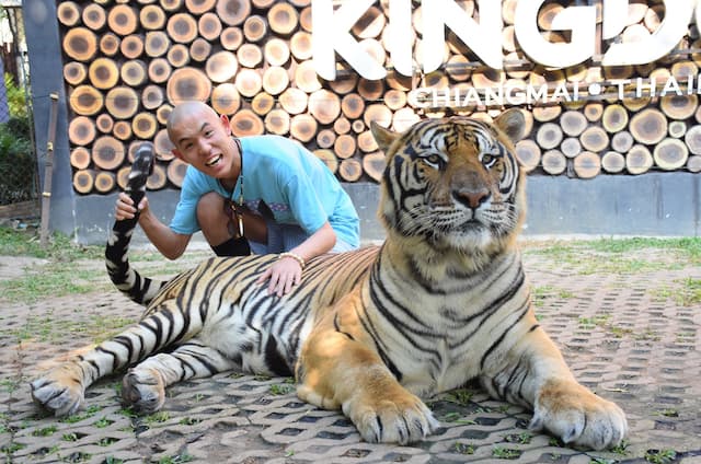 四千頭身・都築、タイ旅行で虎と記念撮影するも意外な展開に！？